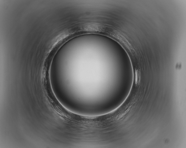 X0000095910723200801111231