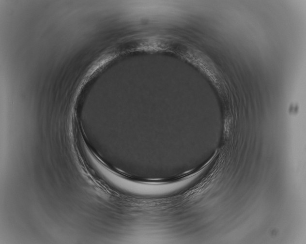X0000095910724200801111231
