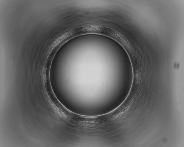 X0000095910725200801111231