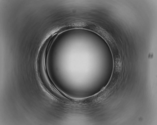 X0000095910726200801111231