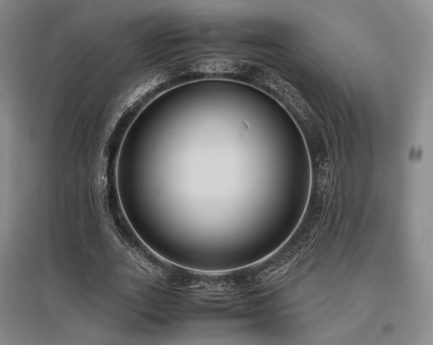 X0000095910727200801111231