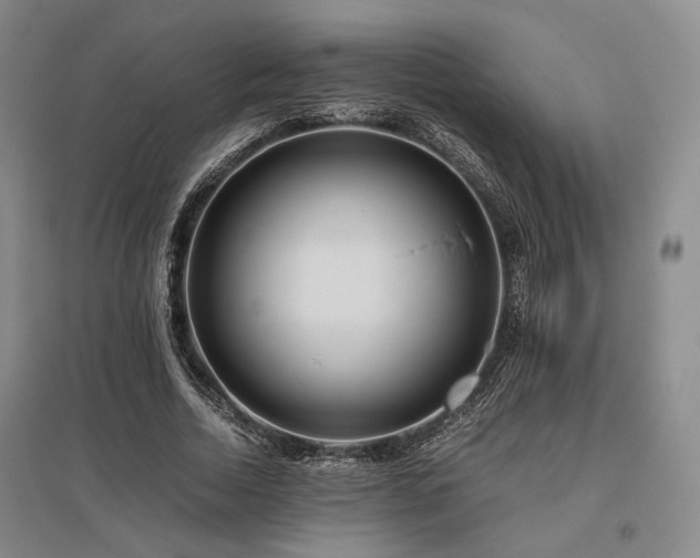 X0000095910730200801111231