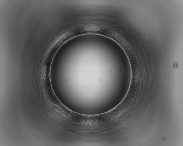 X0000095910731200801111231