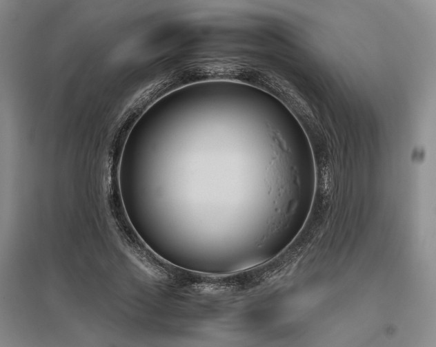 X0000095910733200801111231