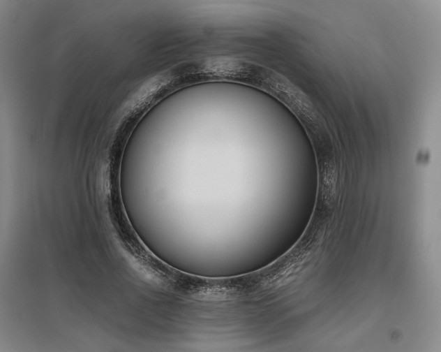 X0000095910734200801111231