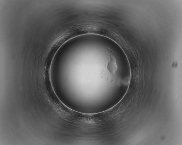 X0000095910735200801111231