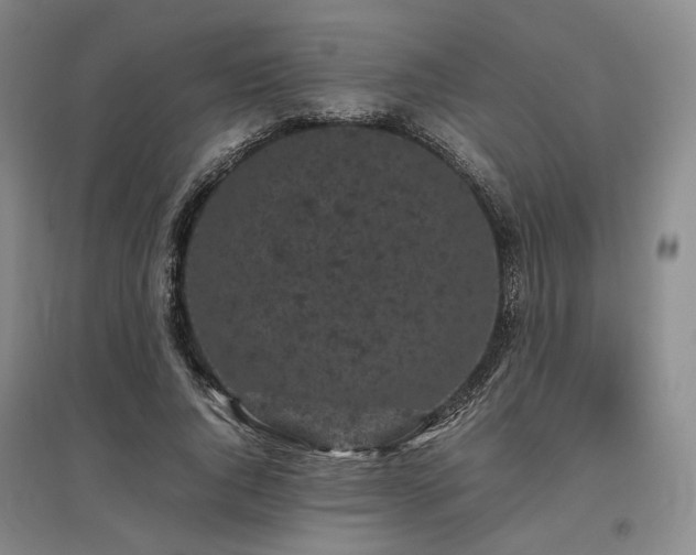 X0000095910736200801111231