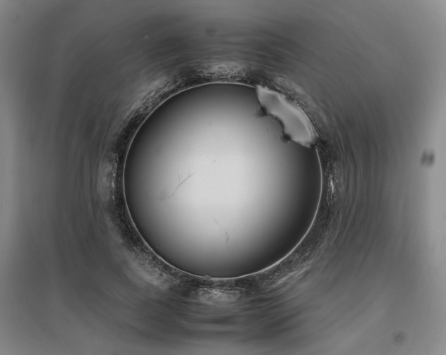 X0000095910739200801111231