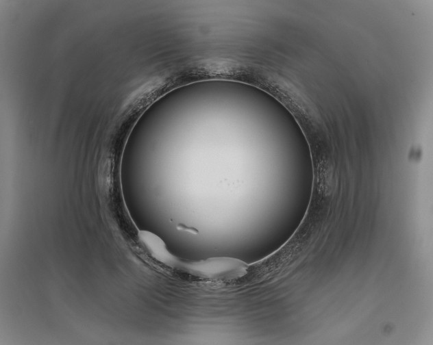 X0000095910740200801111231