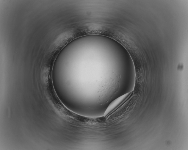 X0000095910742200801111231