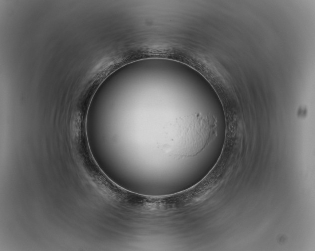 X0000095910744200801111231