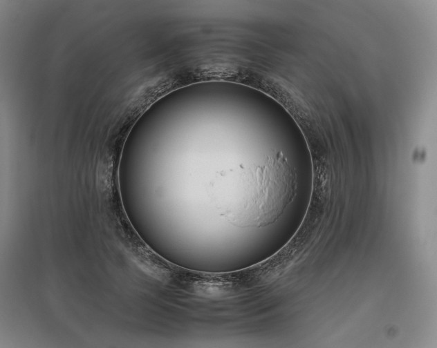 X0000095910745200801111231
