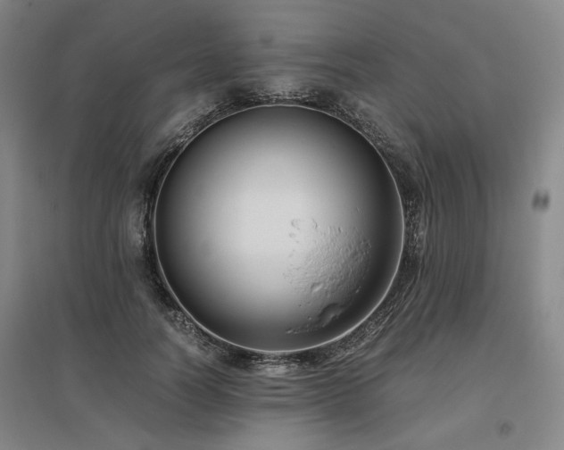 X0000095910746200801111232