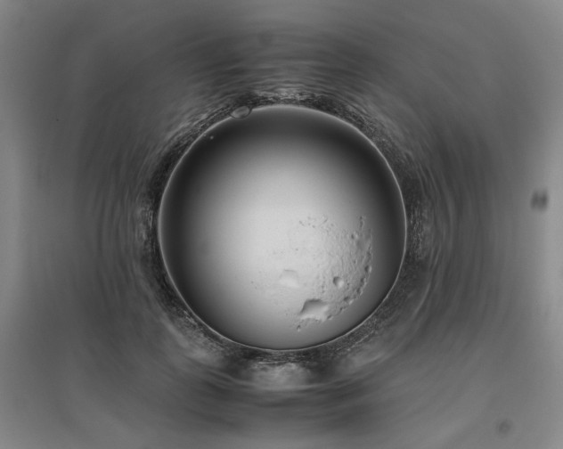 X0000095910747200801111232