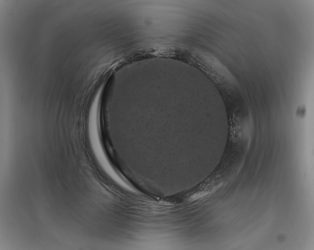 X0000095910748200801111232