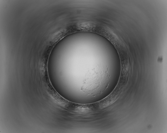 X0000095910749200801111232