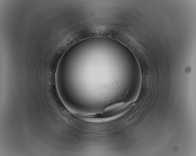 X0000095910750200801111232