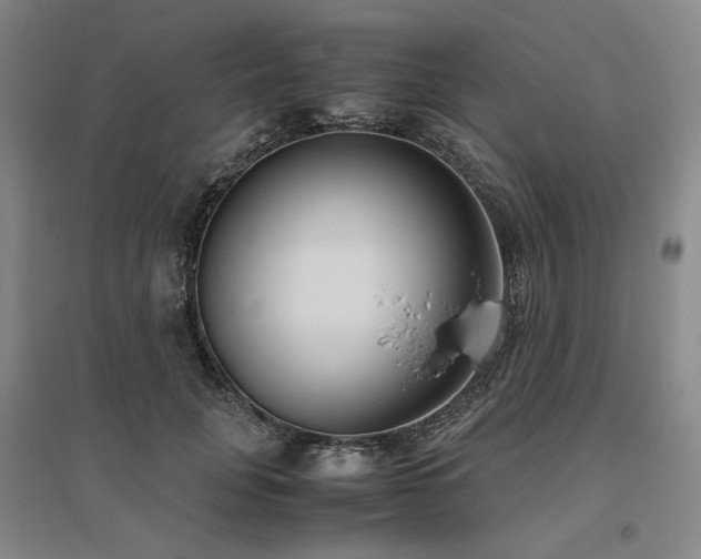 X0000095910751200801111232