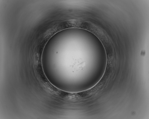X0000095910752200801111232