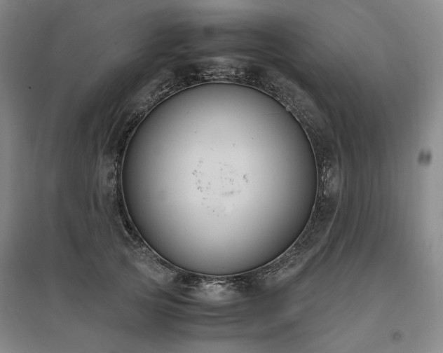 X0000095910753200801111232