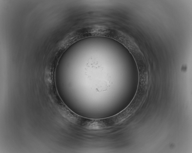 X0000095910755200801111232