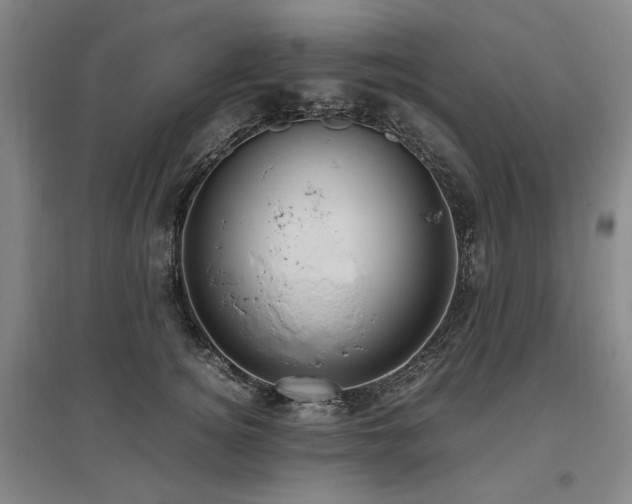 X0000095910756200801111232