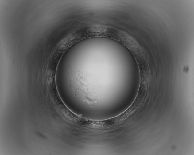 X0000095910758200801111232