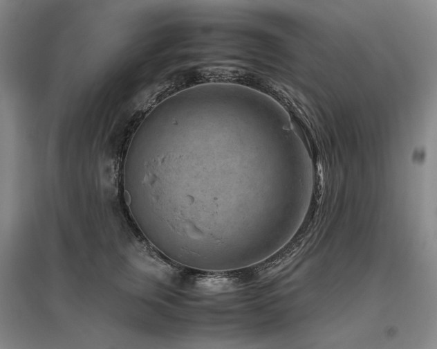 X0000095910759200801111232