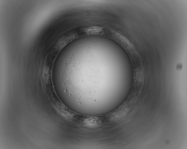X0000095910761200801111232