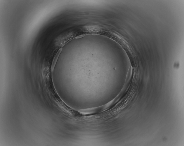 X0000095910762200801111232