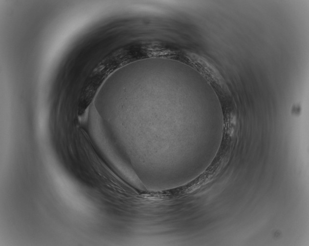 X0000095910763200801111232