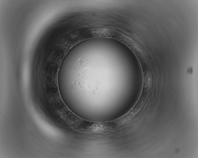 X0000095910764200801111232