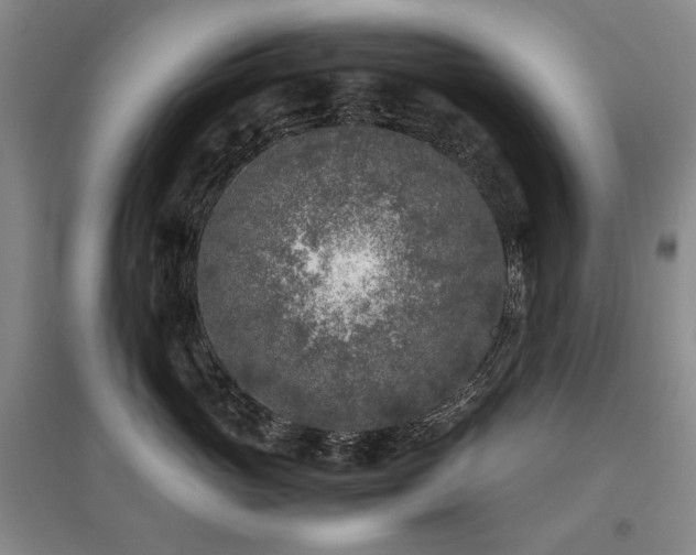 X0000095910765200801111232