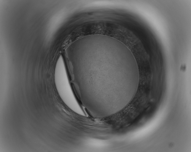 X0000095910766200801111232
