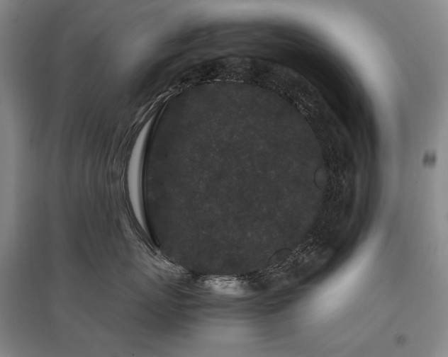 X0000095910767200801111232
