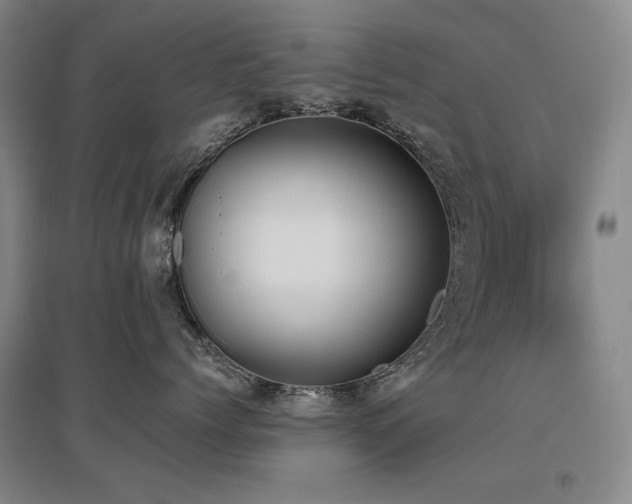 X0000095910768200801111232