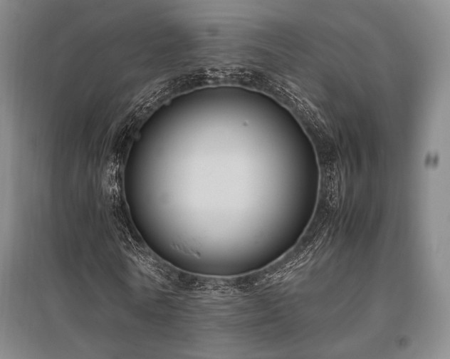 X0000095910770200801111231