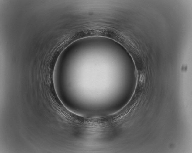 X0000095910771200801111231