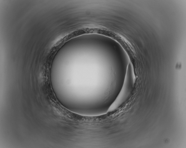 X0000095910775200801111231
