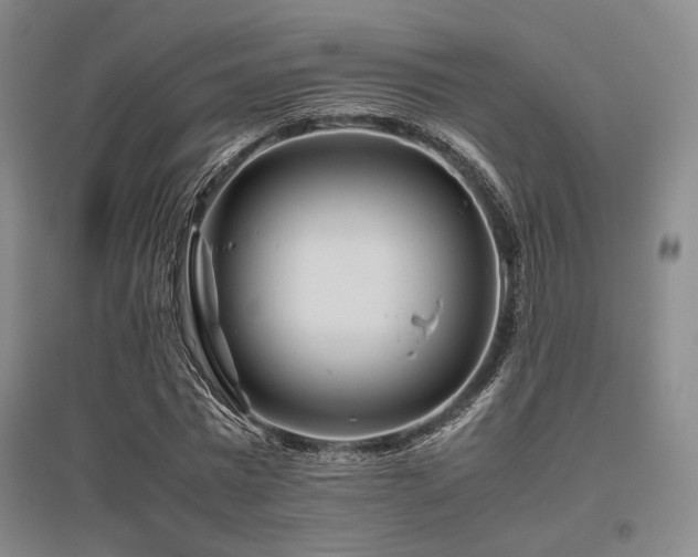 X0000095910777200801111231
