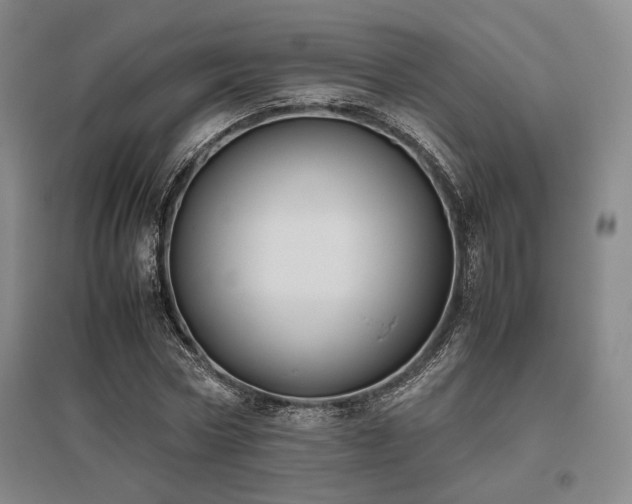 X0000095910778200801111231