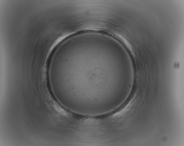 X0000095910779200801111231