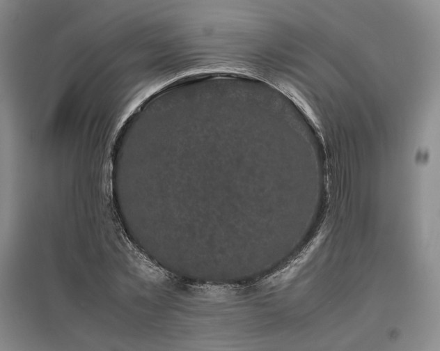 X0000095910781200801111231
