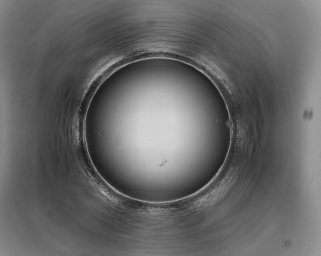 X0000095910782200801111231
