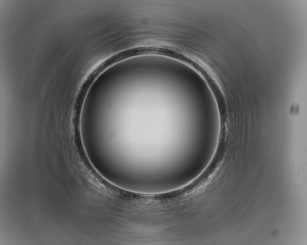 X0000095910783200801111231