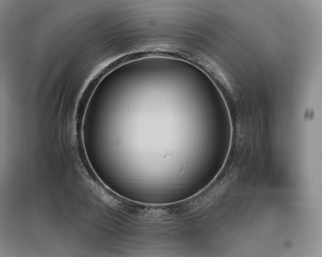 X0000095910784200801111231