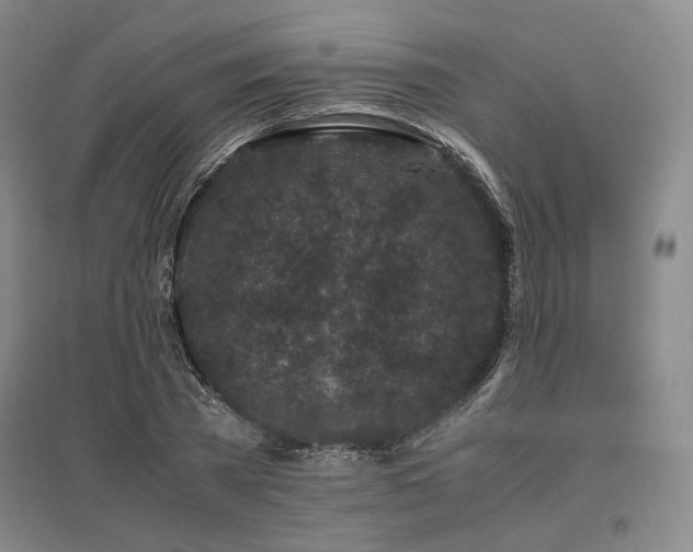 X0000095910785200801111231