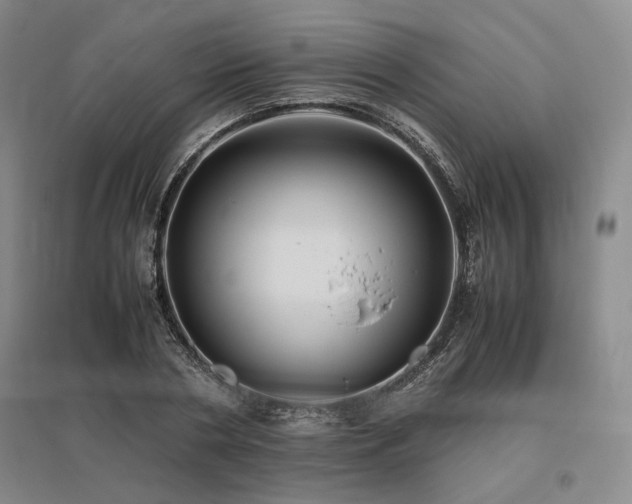 X0000095910786200801111231