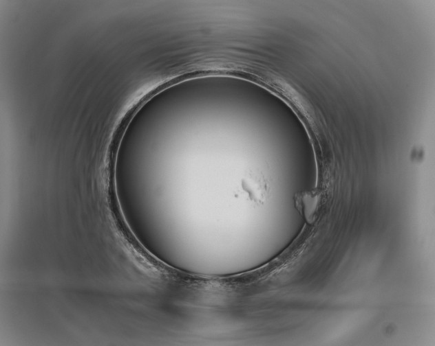 X0000095910787200801111231