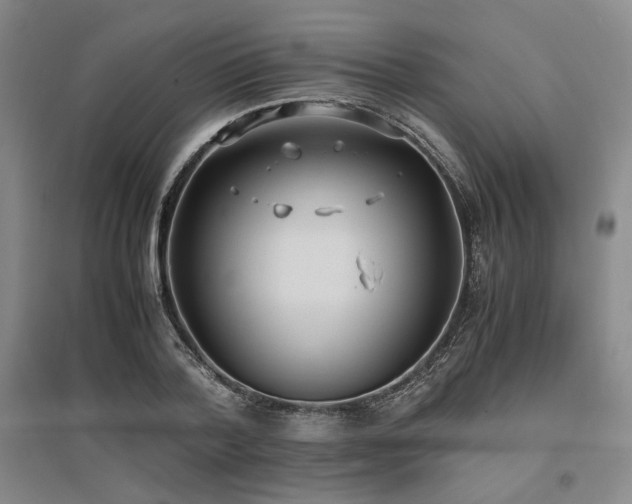 X0000095910788200801111231